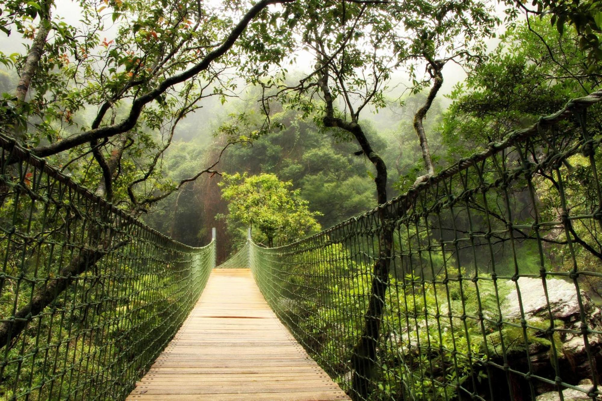 Mogodi Lodge Граскоп Экстерьер фото